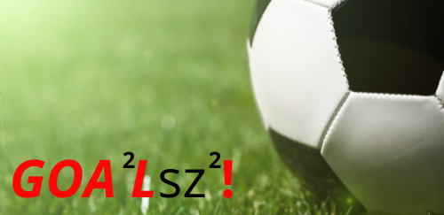 Goalsz | Organisatie trainingen | Voetbalschool | Vught | Marc Latupeirissa
